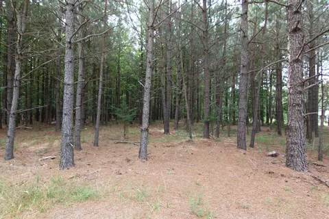 3093 Baptist Rd, Durham, NC 27703 photo 22