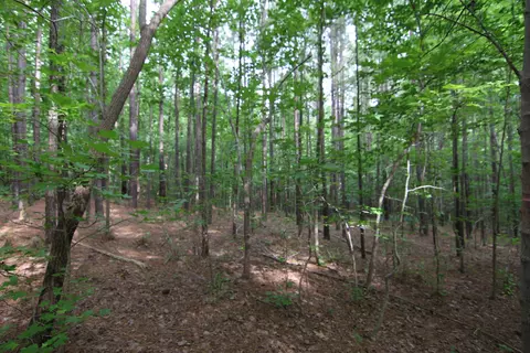 3093 Baptist Rd, Durham, NC 27703 photo 46