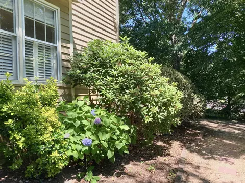 139 Long Shadow Pl, Durham, NC 27713 photo 20