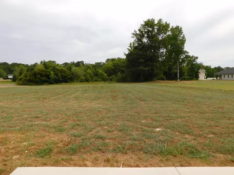 139 Touchdown Way, Benson, NC 27504 photo 25