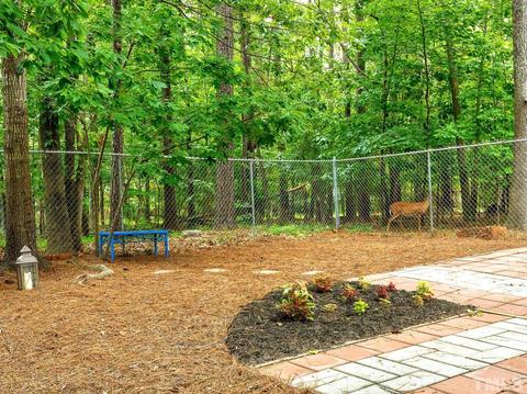 9 Kevin Ct, Durham, NC 27713 photo 32