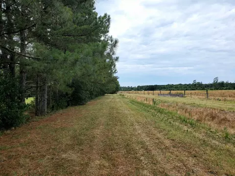 899 Pittman Ln, Micro, NC 27555
