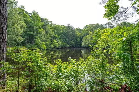 1009 Olive Dr, Garner, NC 27529 photo 4