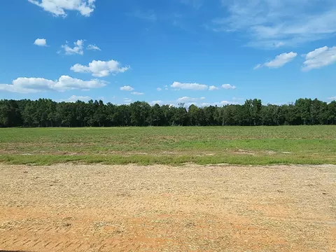 2068 Josey Williams Rd, Erwin, NC 28339 photo 4