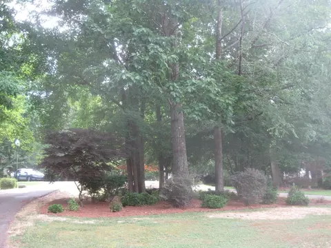 6109 Walnut Glen Dr, Willow Spring, NC 27592 photo 7