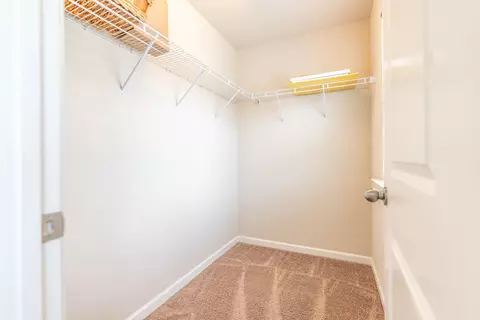 2502 Magnolia Tree Ln, Durham, NC 27703 photo 45