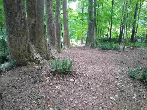 1002 E Sterlington Pl, Apex, NC 27502 photo 57
