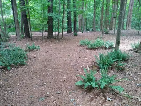 1002 E Sterlington Pl, Apex, NC 27502 photo 55