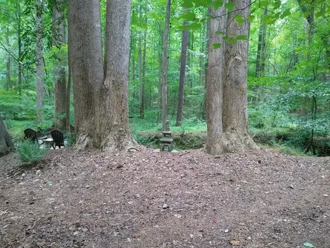 1002 E Sterlington Pl, Apex, NC 27502 photo 56