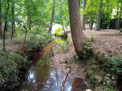 1002 E Sterlington Pl, Apex, NC 27502 photo 60