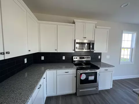 152 Briar Den Ct, Benson, NC 27504 photo 11