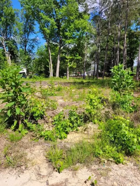 4317 Salem St, Garner, NC 27529 photo 2