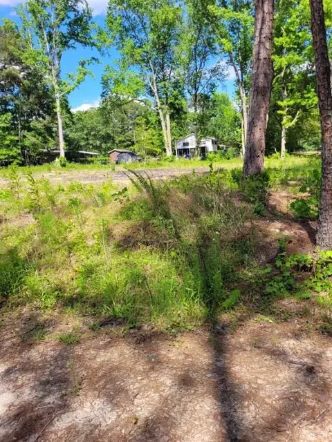 4317 Salem St, Garner, NC 27529 photo 3