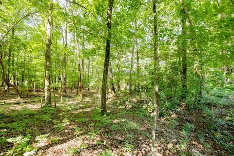2203 Bivins Rd, Durham, NC 27712 photo 4