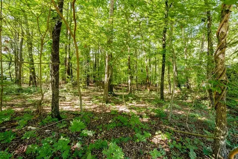2203 Bivins Rd, Durham, NC 27712 photo 3