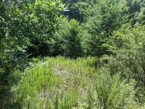 2000 Cheek Rd, Durham, NC 27704 photo 4