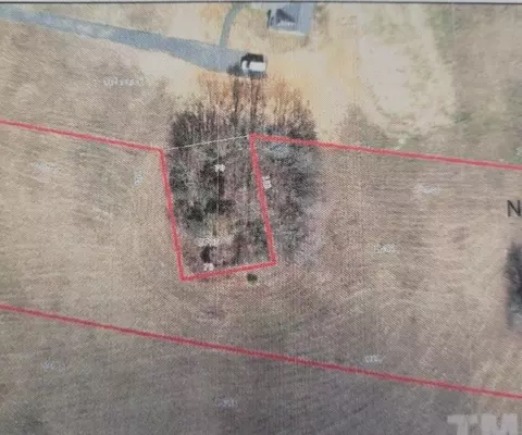 3096 E Thollie Green Rd, Stem, NC 27581 photo 3