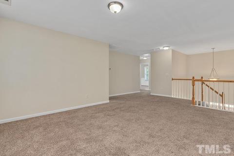 110 Castlebar Ln, Durham, NC 27713 photo 15