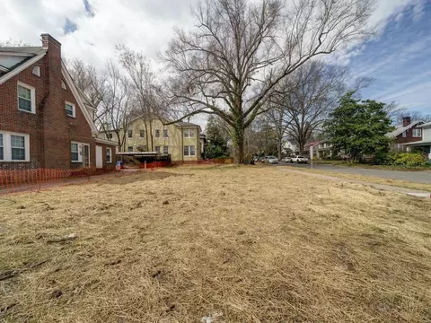 411 N Gregson St, Durham, NC 27701 photo 19