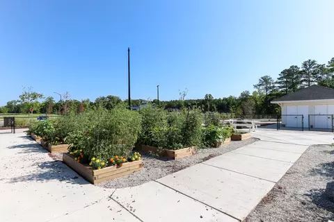 1010 Seedling Ct, Durham, NC 27703 photo 35
