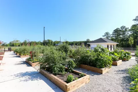 1010 Seedling Ct, Durham, NC 27703 photo 34