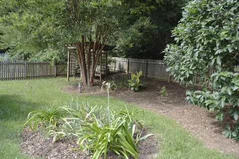 904 Borage Dr, Wake Forest, NC 27587 photo 7