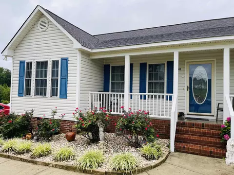 101 Danny Cir, Angier, NC 27501 photo 4