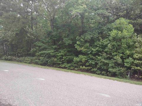 9017 Old Cascade Dr, Garner, NC 27529 photo 1