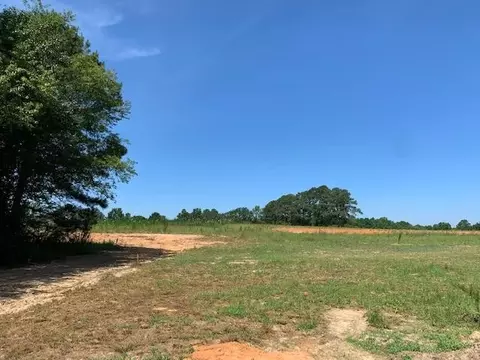 98 Bodacious Ln, Benson, NC 27504 photo 20