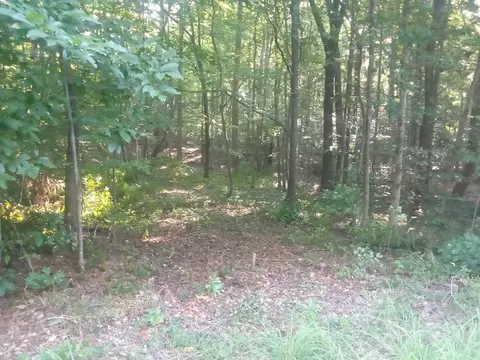 141 Chama Dr, Spring Hope, NC 27882 photo 3