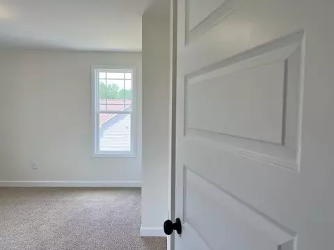 68 Bodacious Ln, Benson, NC 27504 photo 40