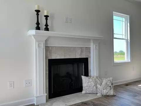 68 Bodacious Ln, Benson, NC 27504 photo 3