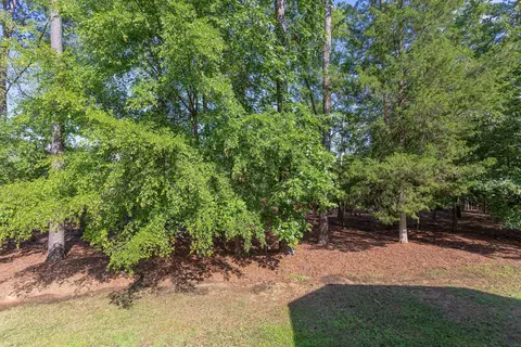 10 Teahouse Ct, Durham, NC 27707 photo 37