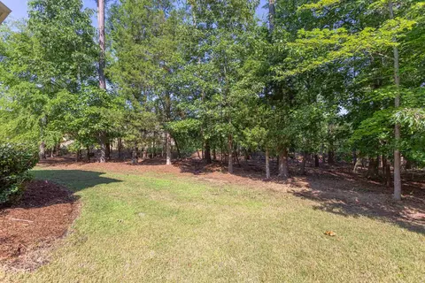 10 Teahouse Ct, Durham, NC 27707 photo 40
