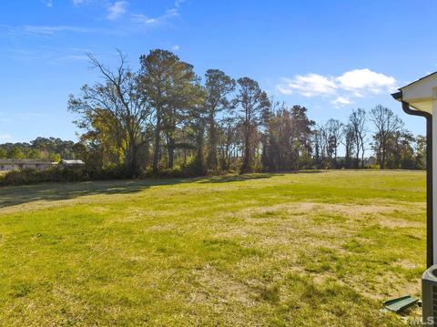 9677 Chapman Rd, Bailey, NC 27807 photo 32