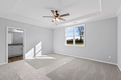 9695 Chapman Rd, Bailey, NC 27807 photo 15