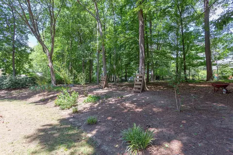 3602 Medford Rd, Durham, NC 27705 photo 31