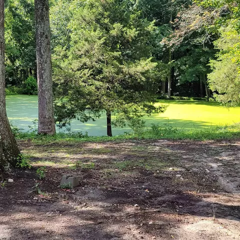 80 Robert Sledge Rd, Spring Hope, NC 27882 photo 20
