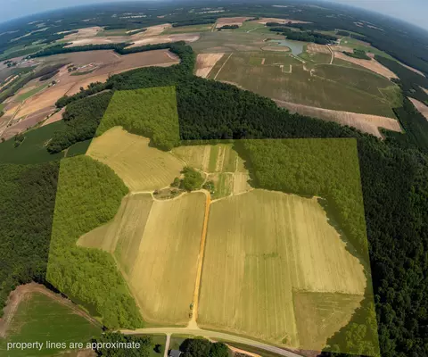 1798 Broken Rd, Bailey, NC 27807 photo 6