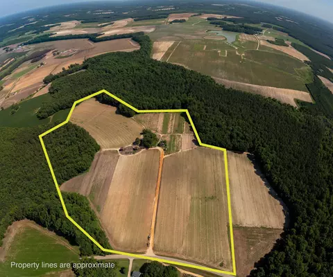 1798 Broken Rd, Bailey, NC 27807 photo 4