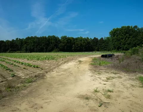 1798 Broken Rd, Bailey, NC 27807 photo 15