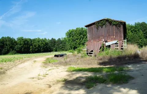 1798 Broken Rd, Bailey, NC 27807 photo 19