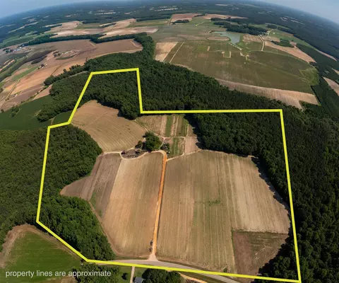 1798 Broken Rd, Bailey, NC 27807 photo 5