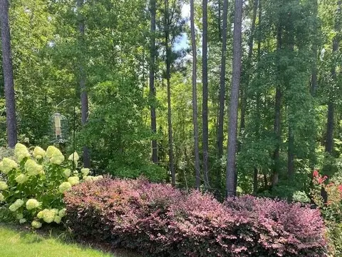 1034 Atticus Way, Durham, NC 27703 photo 34