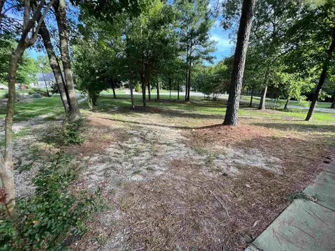 68 Spring Leaf Ln, Wendell, NC 27591 photo 7