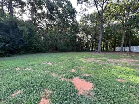 68 Spring Leaf Ln, Wendell, NC 27591 photo 9