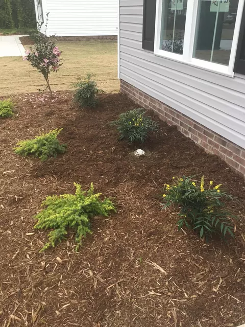 205 N Mclamb St, Benson, NC 27504 photo 5