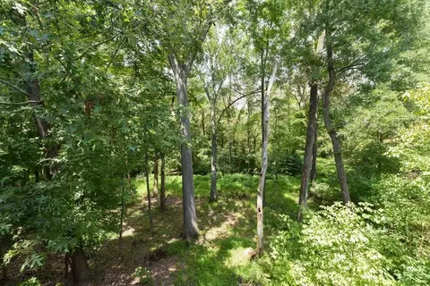 74 Grapevine Trl, Durham, NC 27707 photo 20