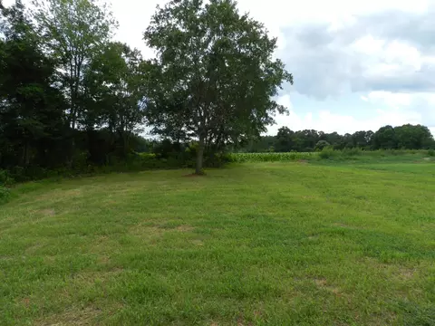 192 Touchdown Way, Benson, NC 27504 photo 12