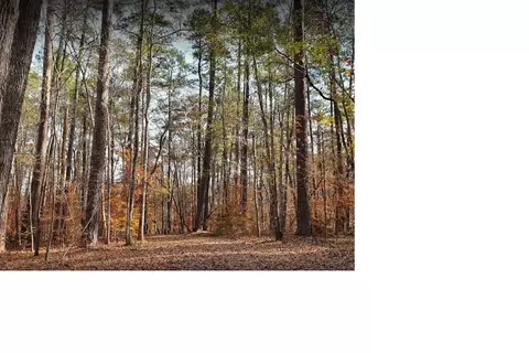 3838 Keohane Dr, Durham, NC 27705 photo 3